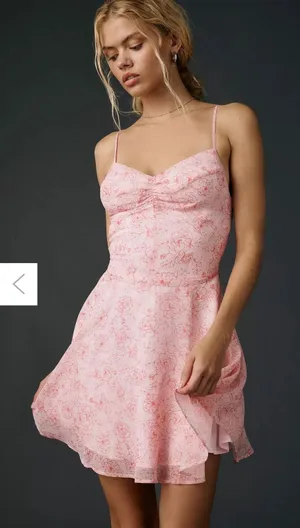 Urban Outfitters Fit-And-Flare Chiffon Mini Dress Pink Roses Medium Coquette NEW thumbnail 1