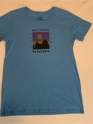 Patagonia Women’s Sky Blue Graphic Short-Sleeve Tee size Medium thumbnail 1