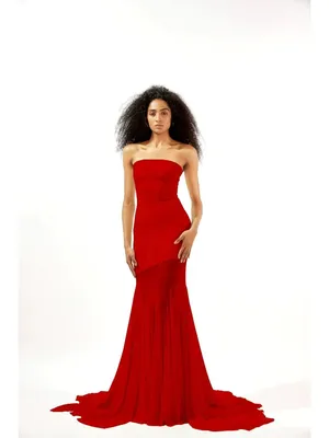 Deme by Gabriella Dahlia Gown in Maroon Small New Womens Maxi Long dress thumbnail 12
