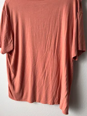 American Eagle Outfitters, T-shirt thumbnail 4