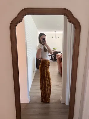 Free People Velvet Pants thumbnail 2