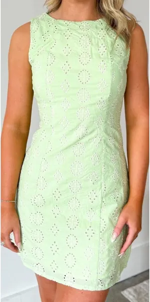 Sienna Eyelet Lace Mini Dress thumbnail 2