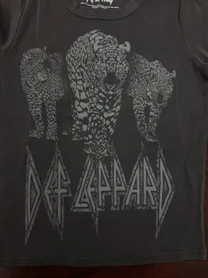 NWT Def Leppard Grey Short Sleeve Baby Tee thumbnail 2