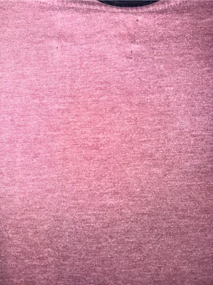 PacSun Short Sleeve Crewneck T-Shirt in Dusty Rose thumbnail 4