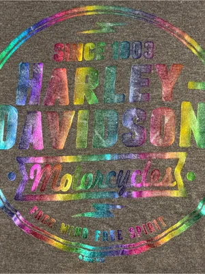 Harley Davidson Space Coast Palm Pay Fl Shiny Iridescent Graphic Tee Gray Large thumbnail 2