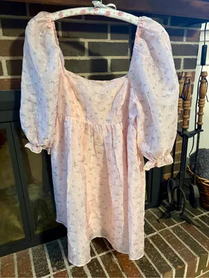 Altar'd State Pale Pink Floral Puff-Sleeve Mini Dress thumbnail 1