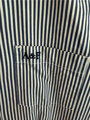 Abercrombie & Fitch Y2K Blue Striped Fitted Button Down Shirt M thumbnail 2
