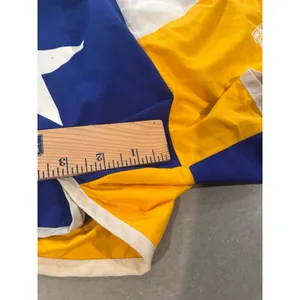 tri delta Sorority Shorts BOA size medium‎ thumbnail 2