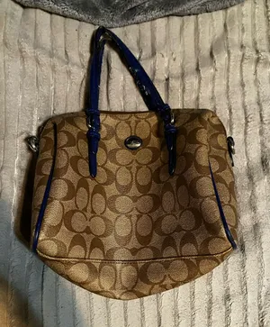 Bag Coach thumbnail 1