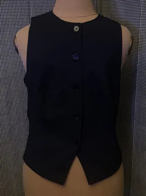 Zara Black Label Buttondown Vest M Academia Menswear Look Corporate Siren Preppy thumbnail 1