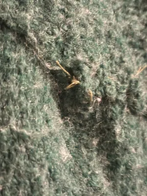 Sweater thumbnail 3