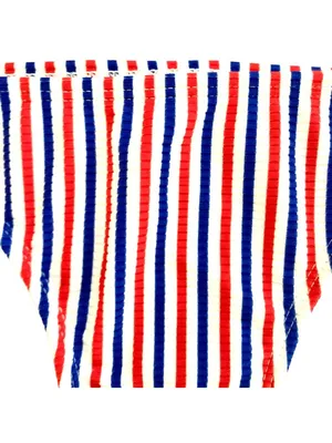 Juniors’ Ribbed Cheeky Bikini Bottom Red White Blue Swimsuit M Beach Patriotic thumbnail 5