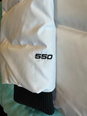 North Face Down The 550 Jacket thumbnail 8