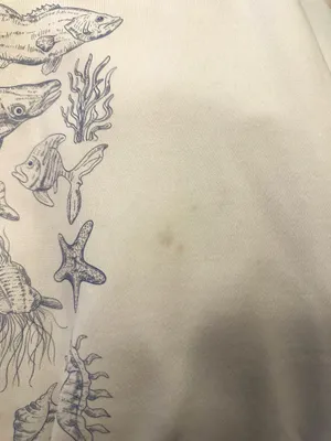 Shein Graphic Sweatshirt thumbnail 4