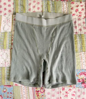 SKIMS Boxers thumbnail 2