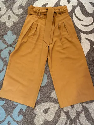Zara Wide-Leg Paperbag Culotte Pants - Caramel Brown thumbnail 1