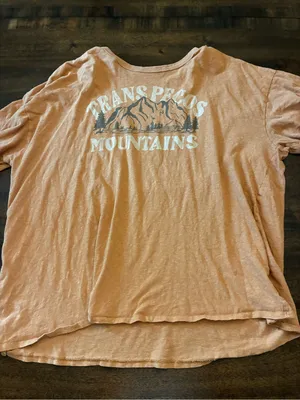 American Eagle Graphic T-Shirt Women’s XL Trans Pecos Mountains Orange Tan Top thumbnail 1