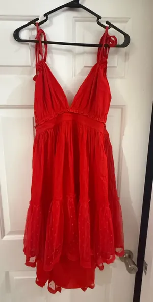 Red Dress Amazon thumbnail 1