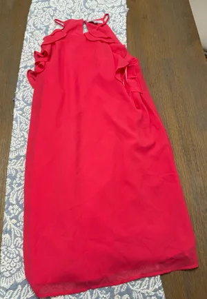 Naked Zebra Dress thumbnail 1