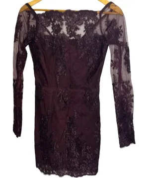 Tobi‎ Women's XS Mesh Sleeve Cocktail Mini Dress Deep Burgundy Lace Whimsigoth thumbnail 1