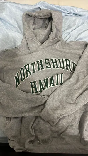 Brandy Melville hoodie thumbnail 1