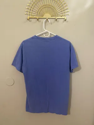Comfort Colors T-Shirt thumbnail 2