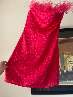 Revolve Lovers And Friends Pink Mini Dress thumbnail 4
