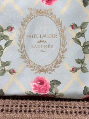 Estée Lauder Floral Cosmetic Pouch in Light Blue and Pink Rose Print thumbnail 2