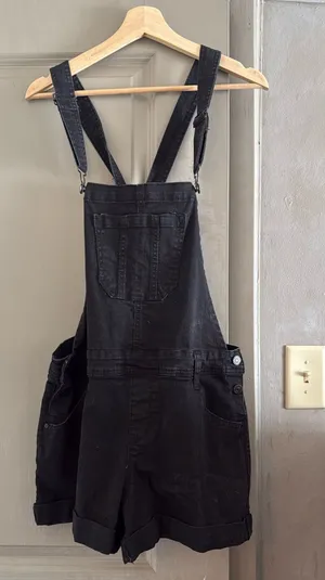 Wall Flower Denim overalls thumbnail 1