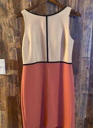 Ann Taylor Loft color block dress (Pink) size 8 thumbnail 2