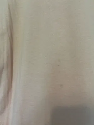 North face shirt short sleeve thumbnail 4
