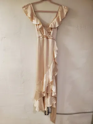 Birdy Grey James Satin Midi Dress in Champagne Small thumbnail 2