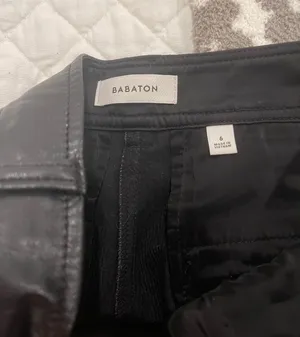 Aritzia Leather Pant thumbnail 2