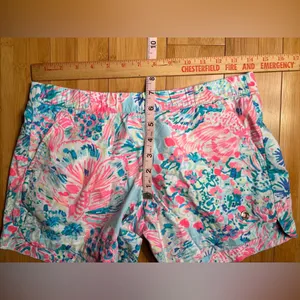 Lilly Pulitzer Womens Casual Shorts Feminine Coastal Vacation Resortwear|Size:XS thumbnail 5