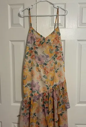 Showpo Soshanah Dress Floral thumbnail 3