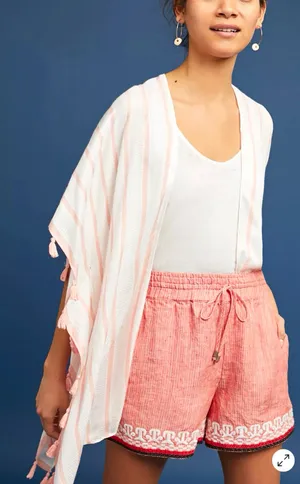 Anthropologie Beachcomber Embroidered Striped Linen Shorts Size M Drawstring thumbnail 1