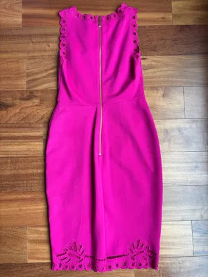 NWT Ted Baker dress thumbnail 13