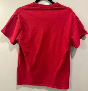 Comfort Colors Georgia College Panhellenic Alpha Gamma Delta Tee thumbnail 2
