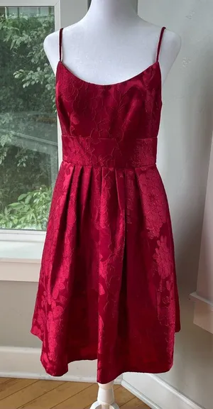 David’s Bridal Crimson Red Floral Jacquard Ballet Scoop Neck Homecoming Dress thumbnail 1