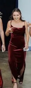 Revelry Velvet Dress Size 4 thumbnail 2