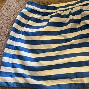 Lilly Pulitzer Blue Stripe Mimosa Skirt Size‎ Medium thumbnail 8