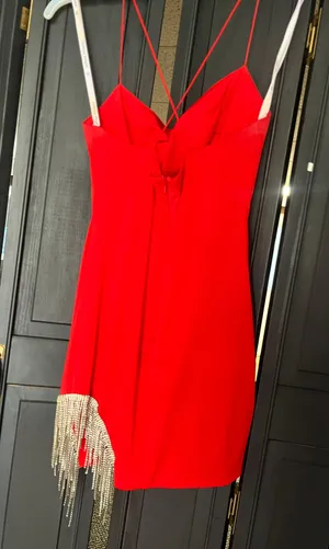 Red Hoco or Party Dress Sophia Thomas thumbnail 4