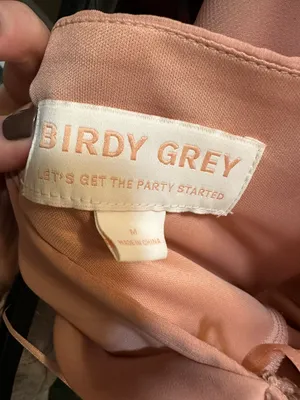 Birdy Grey Dusty Rose Bridesmaid Dress thumbnail 4