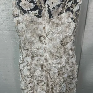 Adrienna Papell Off White Lace Overlay Sleeveless Dress Size 4 NWOT thumbnail 9