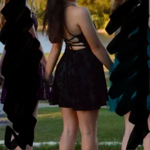 Windsor Divine Allure Ponte Floral Velvet Skater Dress Black thumbnail 4