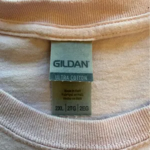 Gildan Vintage Dolly Til I Die Graphic Tee Light Pink Country Western Unisex 2XL XXL thumbnail 5
