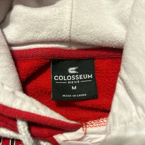 Wisconsin Badgers Hoodie thumbnail 4