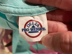 Delta Cute Y2K Panama City pastel whale spring break Florida vacation graphic t-shirt thumbnail 2