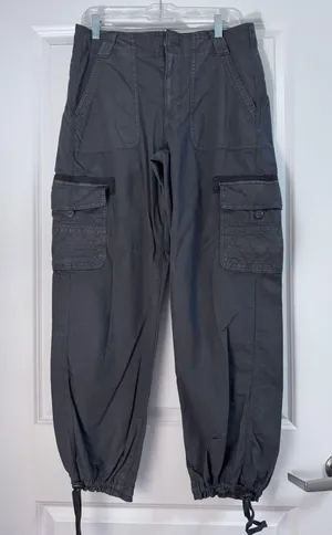 American Eagle Outfitters Cargo Pants thumbnail 1