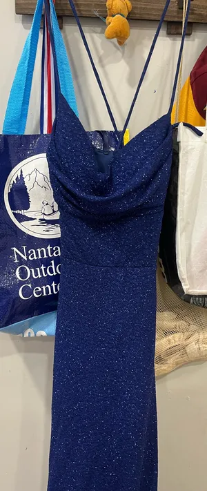 Windsor Prom Dress thumbnail 1